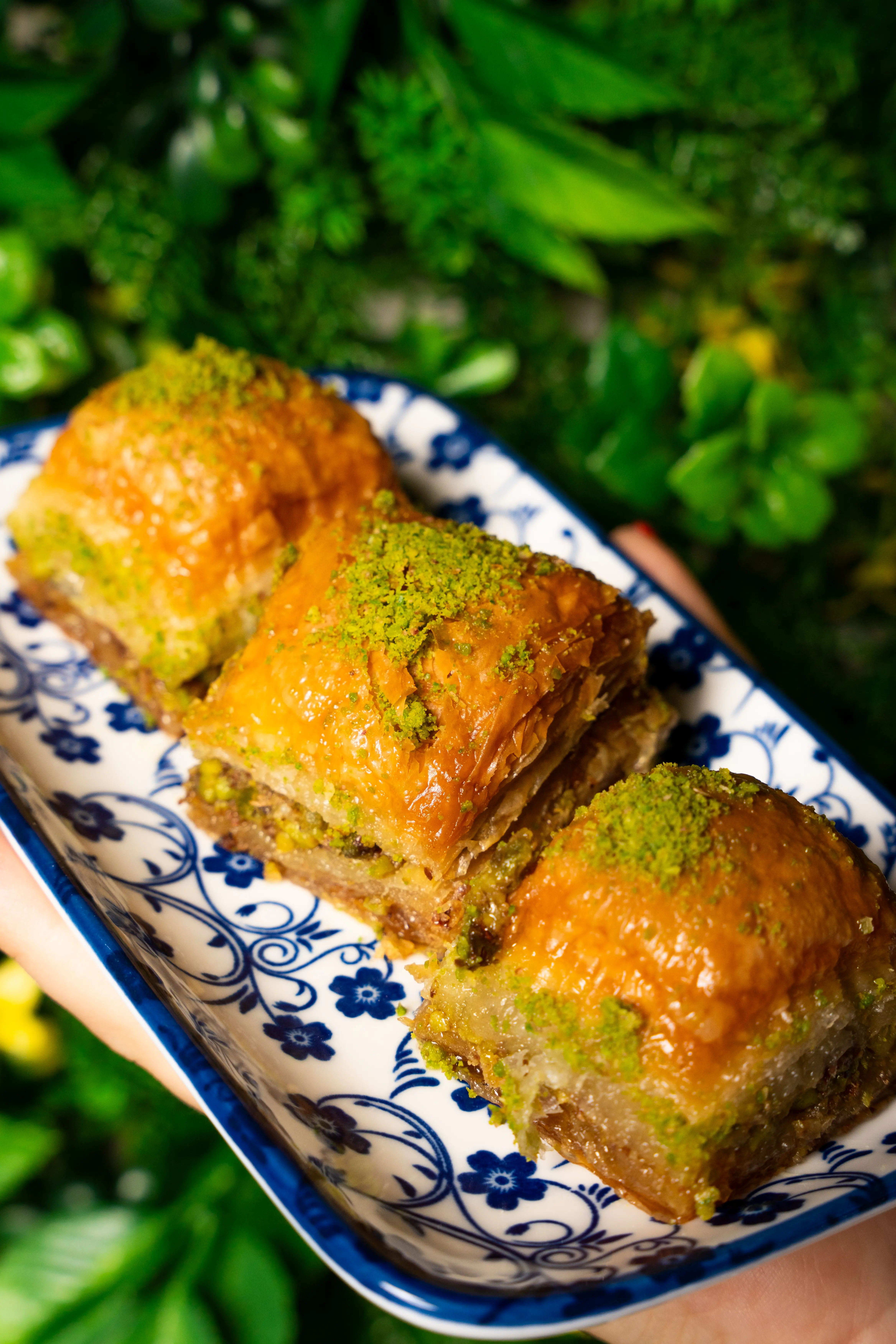 Pistachio baklava
